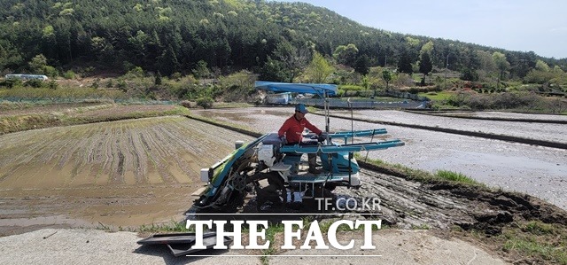 경남 고성군 삼산면 문종수 씨 농가에서 올해 첫 모내기를 하고 있다./고성군