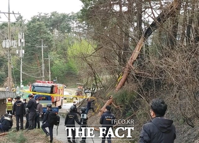 산림당국은 강풍으로 나무가 쓰러지면서 전선을 덮쳐 단선되어 불꽃을 일으킨 것으로 추정하고 정확한 원인을 조사하고 있다고 밝혔다./산림청