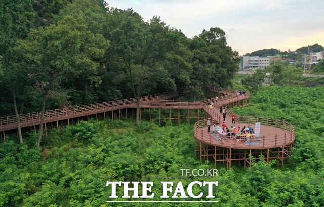 전북 순창군은 사계절 아름다운 경관을 자랑하는 강천산군립공원을 도보로 갈 수 있는 ‘강천가는 오색단풍길’ 조성사업을 완료했다고 12일 밝혔다. / 순창군