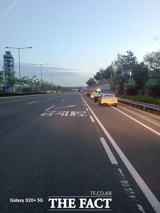 14일 오전 4시 50분쯤 부산 북구 강변대로(사상→금곡 방면) 화명대교 진입 100m 전 지점에서 50대 A씨가 몰던 차량이 도로에 누워 있던 30대 B씨를 치었다. /부산경찰청