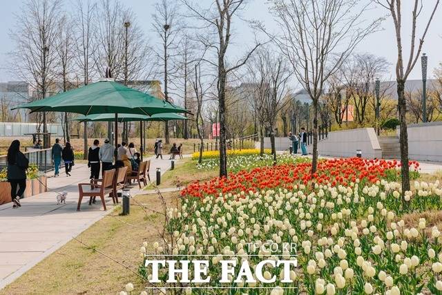 올 봄 서울식물원 꽃길이 시민들을 맞이한다. 구근식물이 핀 산책로를 걷고 있는 시민들./서울식물원 제공