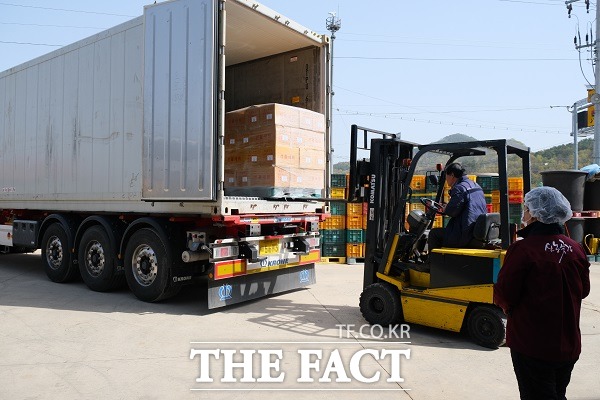 미국으로 보내질 곶감을 싣고 있다. /영동군