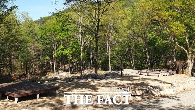 17일 인제군은 DMZ 평화의 길 테마노선이 오는 26일부터 다시 개방된다고 밝혔다./북부지방산림청