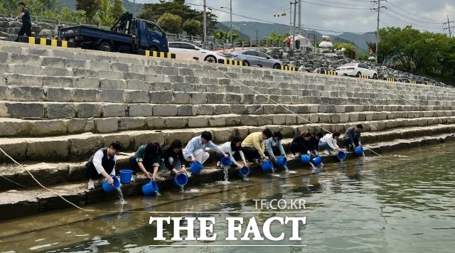 광양시는 21일 섬진강에 어린 은어 7만 마리를 방류하고 있다. /광양시