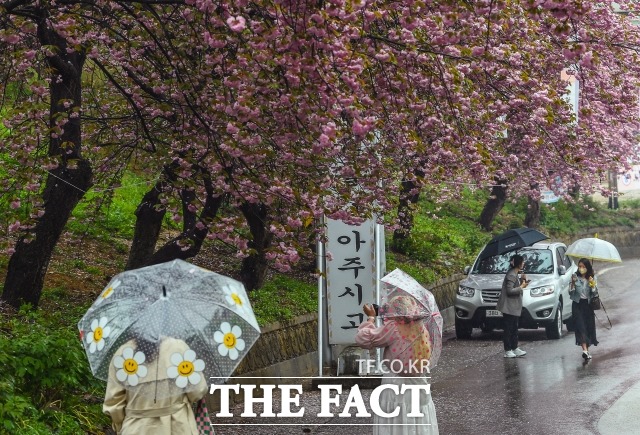 화요일인 25일 전국 곳곳에는 비가 내리겠다. /이동률 기자