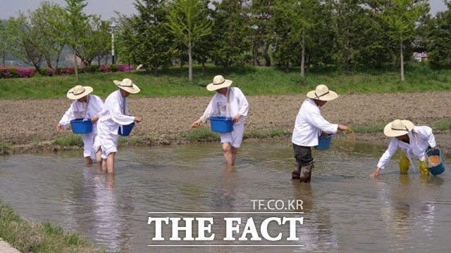 충남 아산시가 ‘에코 농(農)파크’ 조성 예정지에 물못자리를 설치하며 사라져가는 전통농업을 보존하기 위한 첫걸음을 내디뎠다. / 아산시