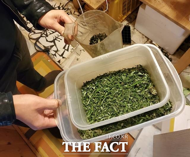 김해시에 있는 한 유흥주점에서 대마초를 소지하고 있던 60대 2명이 경찰에 붙잡혔다. 사진은 기사와 관련 없음./더팩트DB