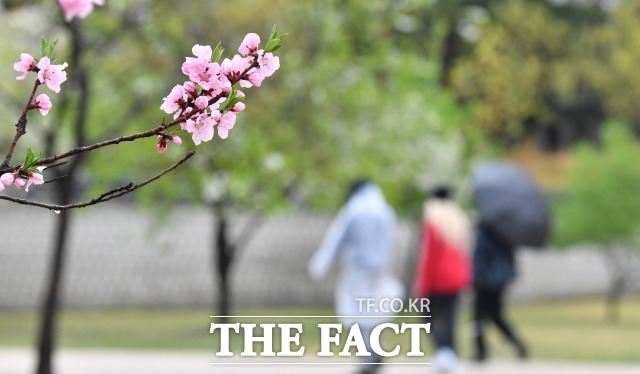 금요일인 28일 전국 하늘은 맑다가 오후부터 차차 흐려지겠다. /박헌우 기자