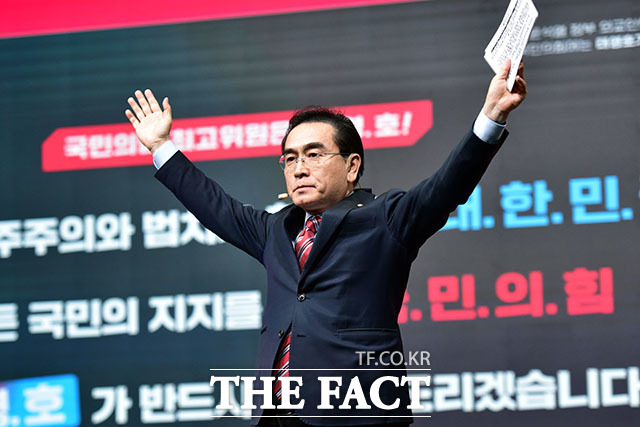 태영호 최고위원 후보./더팩트DB