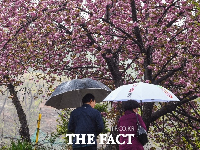토요일인 29일 전국 대부분 지역에는 비가 내리겠다. /이동률 기자