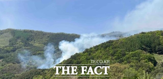 3일 오후 1시 59분께 강원도 영월군 김삿갓면 예밀리 산100번지에서 산불이 발생, 진화 헬기 4대가 진화중이다./강원도산불방지대책본부
