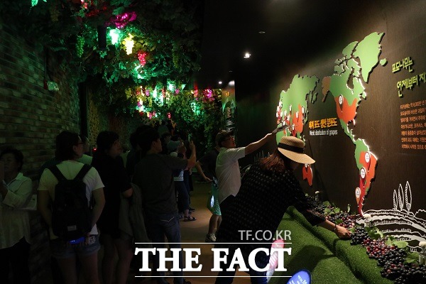 영동와인터널 모습. /영동군