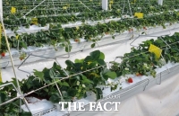  대전시, 도심 공실 활용 스마트팜 운영사 모집