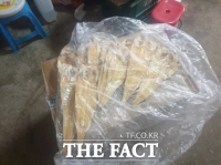  대전 특사경, 행락지 인근 식품접객업소 위법 행위 7건 적발