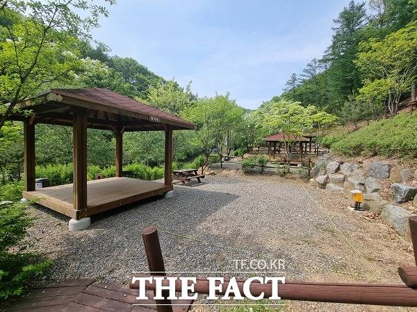 생거진천 자연휴양림 야영장. /진천군