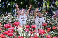  장미 축제 즐기는 어린이들 [포토]