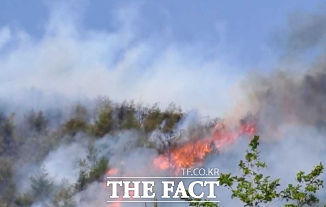 17일 산림당국은 이날 오전 11시 9분쯤 강원도 평창군 대화면 대화리 산 560 일원에서 산불이 발생, 1시간 10분만에 주불 진화를 완료했다고 밝혔다./강원소방본부