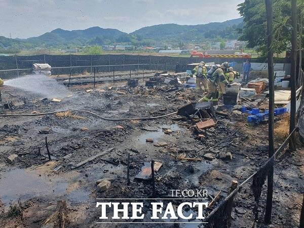 지난 20일 오후 2시 5분쯤 충북 괴산군 소수면의 한 양봉 농장에서 불이 나 벌통 120여개가 타는 등 소방서 추산 4100여만원의 재산피해가 발생했다. /괴산소방서.