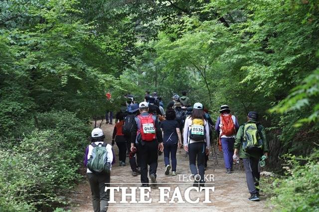 2019 강북구민 한마음 걷기대회에 참가한 시민들이 우이령길을 걷고 있다. /강북구 제공