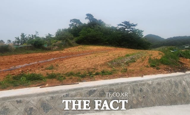 돌산읍 무두리 상동마을 1000여평의 땅을 매입한 박성미 의원의 땅 옆으로 농로가 확포장돼 있다. 박 의원은 확포장 도로 아래쪽 석축은 자비를 들였다고 주장하고 있다. /독자 제공