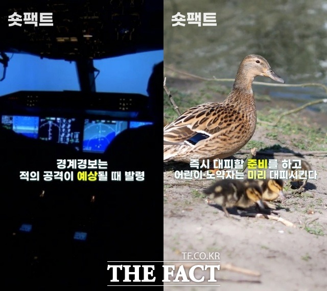 경계경보는 적의 공격이 예상될 때 발령한다. 5월 31일 서울시가 시민에 보낸 재난문자가 이 경계경보에 해당한다. /[숏팩트] 갈무리