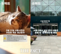  [숏팩트] 혼란스러운 서울시 경계경보 재난문자, 어떻게 바뀔까 (영상)