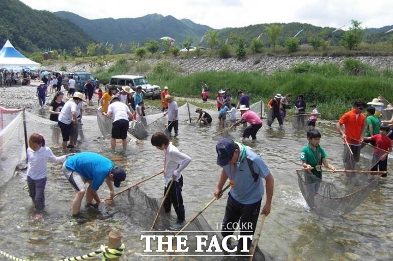 경북 울진군이 6월 10일 근남면 굴구지 산촌마을 왕피천 계곡 일원에서 ‘왕피천 피래미 축제’를 개최한다./울진군