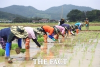  정읍시, 맞춤형 벼 품종 개발 사업 '박차'