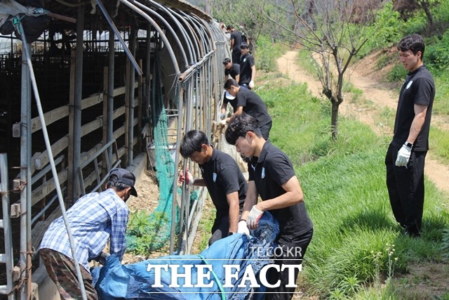 천안시티FC가 지난 4월 발생한 산불로 큰 피해를 입은 충남 홍성군을 방문해 봉사활동을 펼쳤다. / 천안시티FC