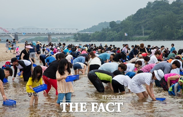 하동섬진강문화재첩축제 모습.(자료사진)/하동군