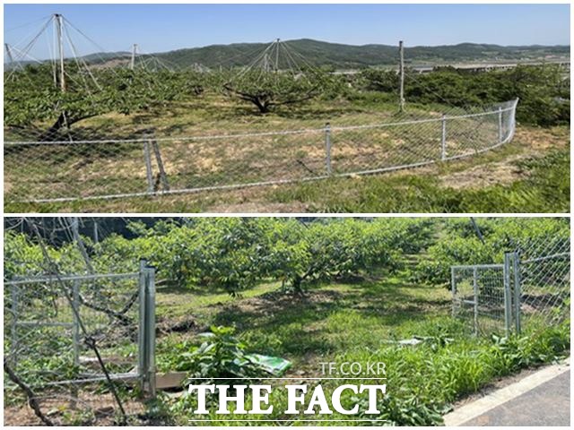 능형철조망 설치를 지원하는 사업 현장. /임실군