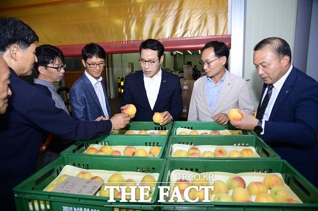 전북 남원시는 전국에서 처음으로 생산된 ‘남원 그린황도 복숭아’를 춘향골농협산지유통센터에서 1톤(416박스/ 2.5kg)을 공동 선별해 27일 홍콩으로 수출하고 수출선적식을 가졌다. / 남원시