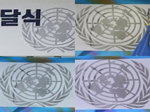 한국위는 출범 때부터 유엔 엠블럼을 무단 사용한 것으로 드러났다. 한국위 측은 유엔 해비타트와 관계 있는 행사에서만 활용해서 쓰고 있다면서도 앞으로 유엔 측에 (요청을) 보내겠다고 인정했다. 사진은 한국위가 각종 행사에서 사용한 유엔 엠블럼. /한국위 누리집 갈무리