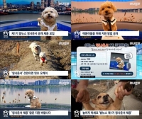  SBS '애니멀봐'…세계 최초 강아지 앵커 공개채용