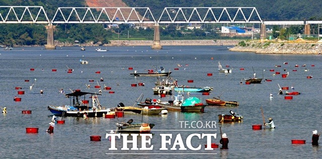섬진강 재첩잡이 손틀어업이 우리나라 어업 분야 최초로 세계중요농업유산(GIAHS)에 등재됐다./하동군