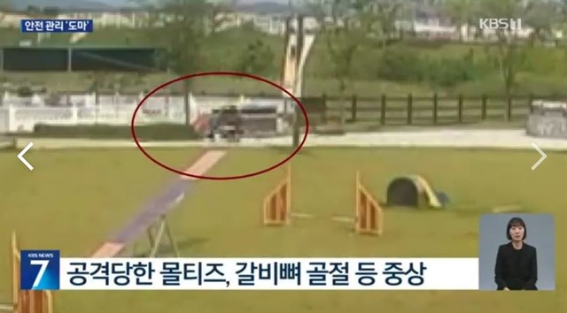 사고 뉴스./KBS영상 갈무리
