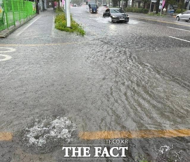 초복인 11일 광주와 전남 지역에 많은 비가 내리면서 호우 피해가 잇따르고 있다. 사진은 광주시 중흥동 한 도로에 침수피해가 발생한 모습./독자 제공