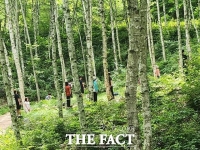  한국타이어 대전공장 인근 주민, 김천치유의숲에서 산림 치유
