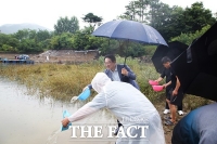  옥천군, 대청호에 뱀장어 치어 1만 7000마리 방류