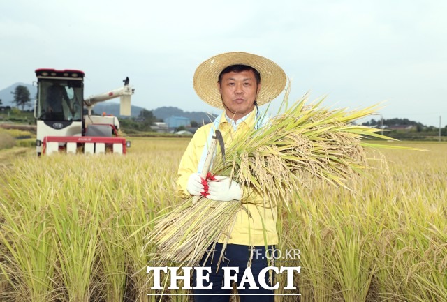 정읍시는 친환경 쌀 생산 농가 소득을 지원하고 친환경 농업 확산을 위해 정읍산 친환경 유기농 쌀을 사용하는 지역 내 음식점 및 식품가공업체 등을 지원한다고 14일 밝혔다. 음식점과 급식업소는 정읍산 친환경 쌀을 저렴하게 구매하고 차액을 시가 부담한다. / 정읍시