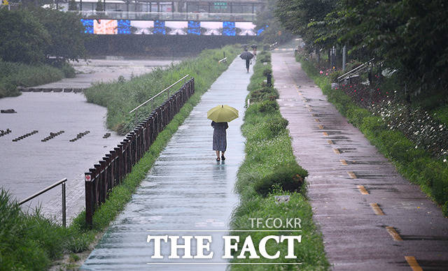 호우주의보가 발효된 4일 오후 서울 은평구 불광천 산책로에서 시민이 우산을 쓰고 산책하고 있다. /장윤석 인턴기자