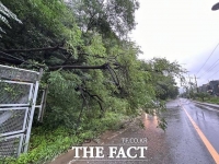  세종시 밤새 최대 85㎜ 비 내려…침수 피해 잇따라