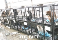  정읍시, 반려동물 복지 향상 추진…반려동물 영업장 실태 점검