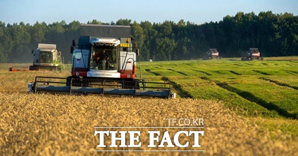 러시아가 17일(현지시각) 러시아관련 사항이 이행되지 않고 있다며 흑해 곡물협정 종료를 발표했다. 러시아 농부가 밀을 수확하고 있다. /타스통신