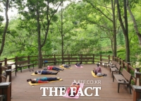  대전 치유의 숲, 8월 한달간 야간 개장·