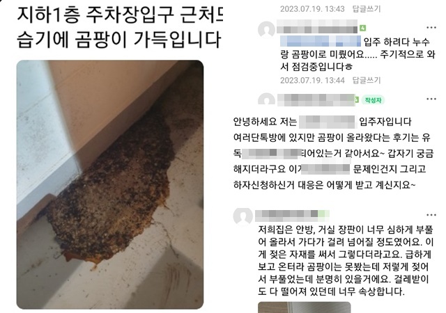 대우건설 측은 피해 규모를 밝히기 어렵다는 입장이지만, 입주예정자협의회 카페에는 곰팡이가 발생했다는 게시글이 이어지고 있다. /입주예정자협의회 카페 화면 캡쳐