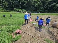  신한금융, 수해 복구 봉사활동…현장 직접 찾아 구슬땀 흘려