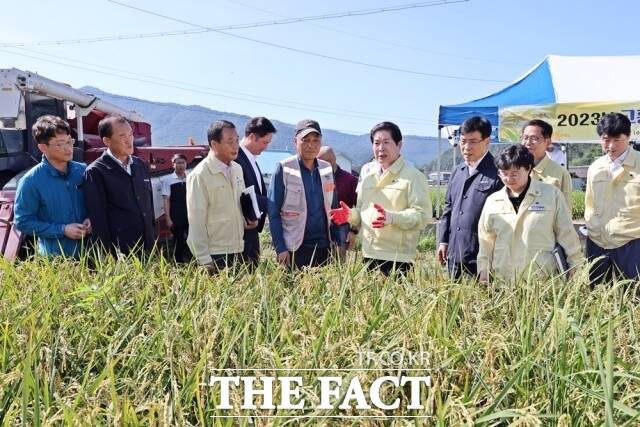 전남 고흥군은 2일 고흥읍 등암리 일원에서 올해 첫 햅쌀을 수확했다고 밝혔다./고흥군