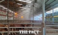  폭염은 축산농가의 생산성 저하 유발…하동군, 농가 폭염 피해 최소화 당부