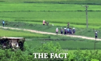  더위에도 농사일 한창인 북한 주민들 [TF사진관]
